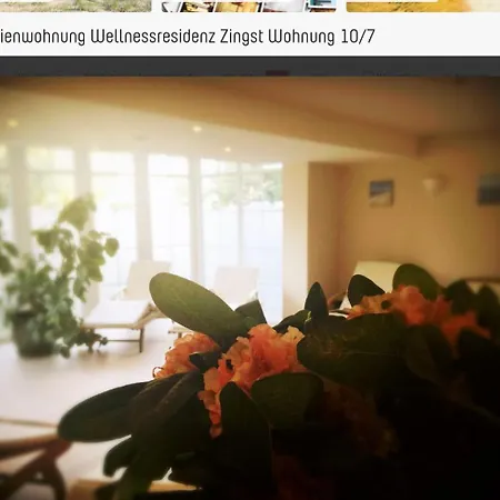 Lejlighed Ostsee Wellnessresidenz 10 In *